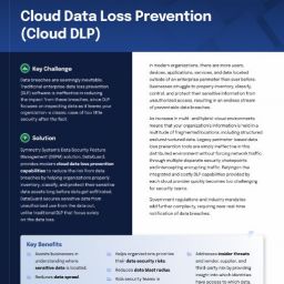 Symmetry Systems Resources Cloud Data Loss Prevention (Cloud DLP)