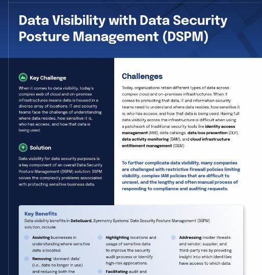 Symmetry Systems Resources Data Visibility with Data Security Posture Management (DSPM)